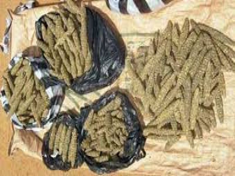 السلطات السودانية تضبط كميات كبيرة من المخدرات