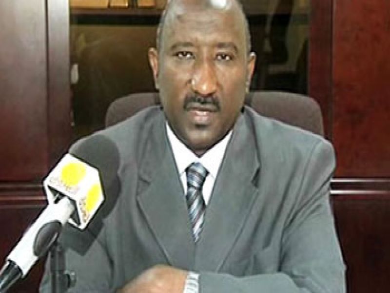 السلطات السودانية تلقي القبض على متهمين بالتورط في اختطاف طيار أوكراني ومترجمة بشمال دارفور