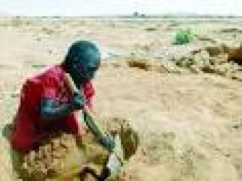 مجاعة بمحلية المالحة بشمال دارفور