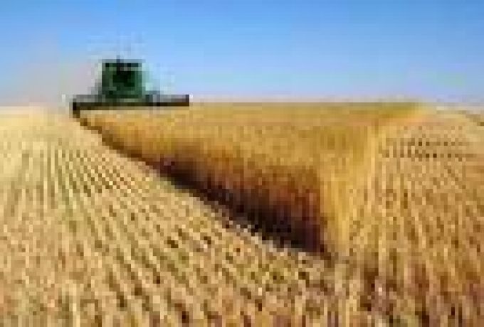 وزير الزراعة مستبعداً الفجوة الغذائية :مساحات القمح 600 الف فدان