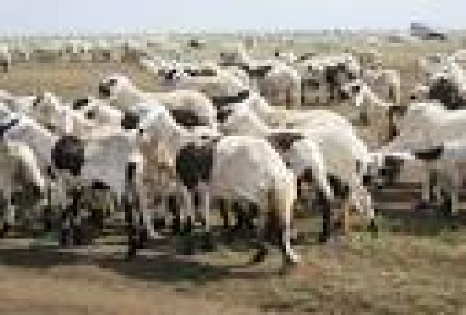 وزير الثروة الحيوانية :السودان يستهلك لحوم بقيمة 5 مليارات دولار