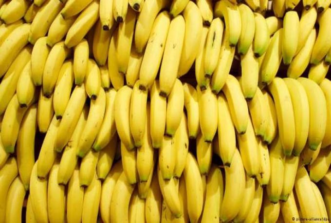 10 فوائد نجهلها عن الموز