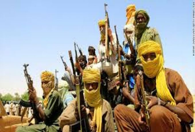 حركة مناوي تتهم الحكومة  بجلب عناصر إرهابية الي شمال دارفور