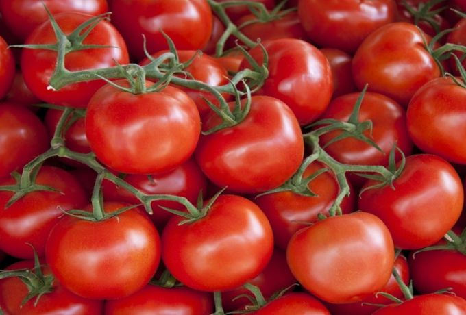 جنون الطماطم والبصل بأسواق الخرطوم