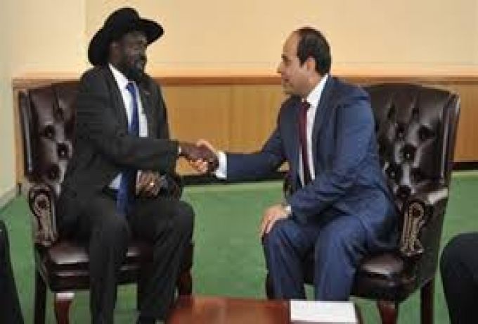 وزير مصري :إثيوبيا تخشي من مصر عبر حدودها الطويلة مع جنوب السودان