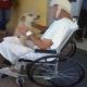 البرازيل : الكلب الذي انتظر صاحبه 8 أيام عند باب المستشفى