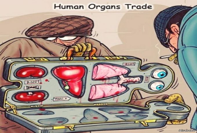 خبير بوزارة الصحة : لا وجود لتجارة الأعضاء بالسودان