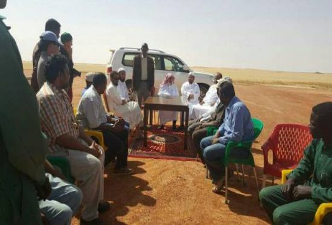 شركات سعودية تبدأ بحصاد نصف مليون فدان من القمح
