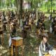 الصين:مدرسة تجري اختباراتها في غابة لمنع الطلاب من الغش
