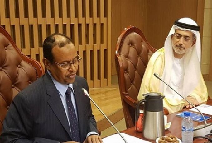 مسؤول اماراتي رفيع يجري بالخرطوم مباحثات حول التعاون الاقتصادي والاستثماري