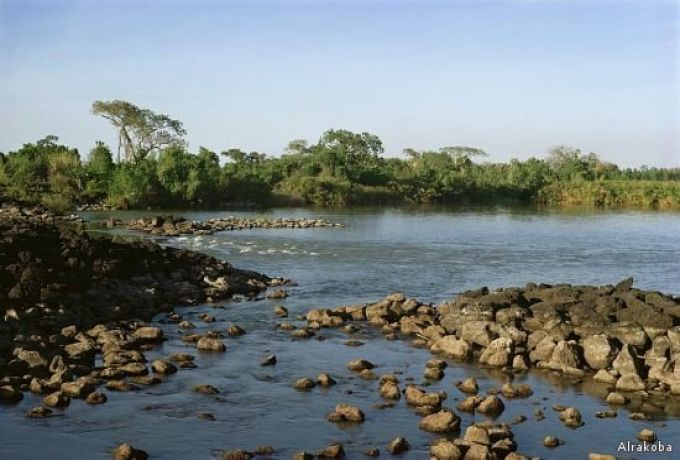 الجزيرة .. "الجماجم ورفات الموتي تستخدم لصد مياه النيل"