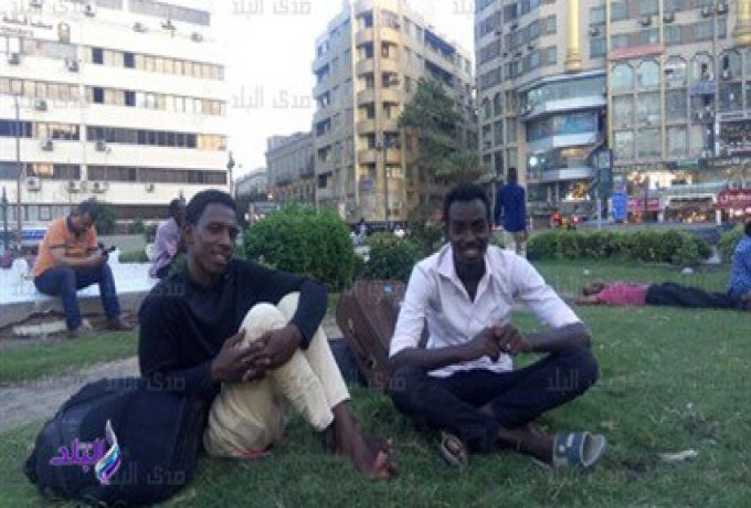 بالصورة ..تمثال ابراهيم باشا بالقاهرة ملتقي السودانيين