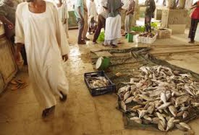 تضاعف أسعار الأسماك والمنتجات البحرية ببورتسودان