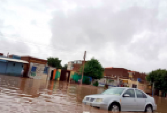 الجزيرة: نفوق أعداد كبيرة من المواشي بسبب السيول