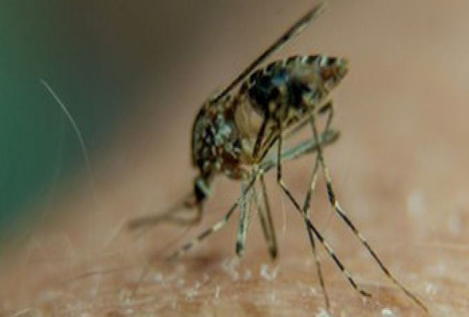 وفاة ثلاثة أشخاص بمرض الملاريا وتفاقم أزمة الدواء في مقاطعة "آلا لي" بأكوبو
