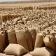 قرابة المليار دولار كلفة السودان من إستيراد القمح