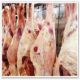 الولاية الشمالية تصدر اللحوم لمصر بدلاً عن الماشية الحية