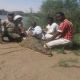 اصطياد تمساح كبير رمياً بالرصاص شمال السودان